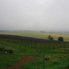 Foto zu Brombeerschenke: Aussicht, leider etwas verregnet