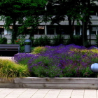 Foto zu Ristorante Il Porto: 