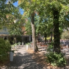 Foto zu Wirtshaus Lindengarten: 