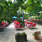 Foto zu Fischerhütte Am Schlachtensee: Fischerhütte