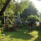 Foto zu Kochstube Bitzer: Der wild romantische Biergarten