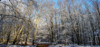 Fotoalbum: User Fotos