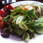 Foto zu Ristorante La Riviera: Vorspeise- frischer Salat 