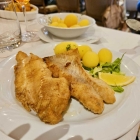 Foto zu Zur Ochtumbrücke: Gemischte Edelfische