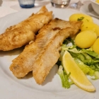 Foto zu Zur Ochtumbrücke: Schlemmerfilets