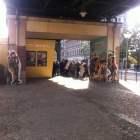 Foto zu Konnopke's Imbiss: 