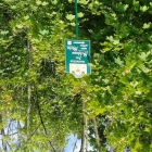 Foto zu Am Schloß Stein: 