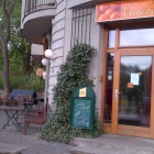 Foto zu Mirabelle: 