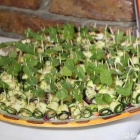 Foto zu Trattoria a'Muntagnola: 